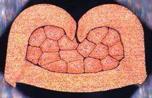 線束端子壓接剖面分析儀