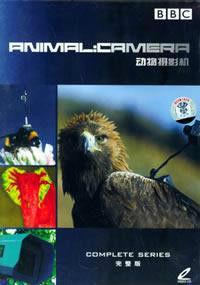 动物摄影机