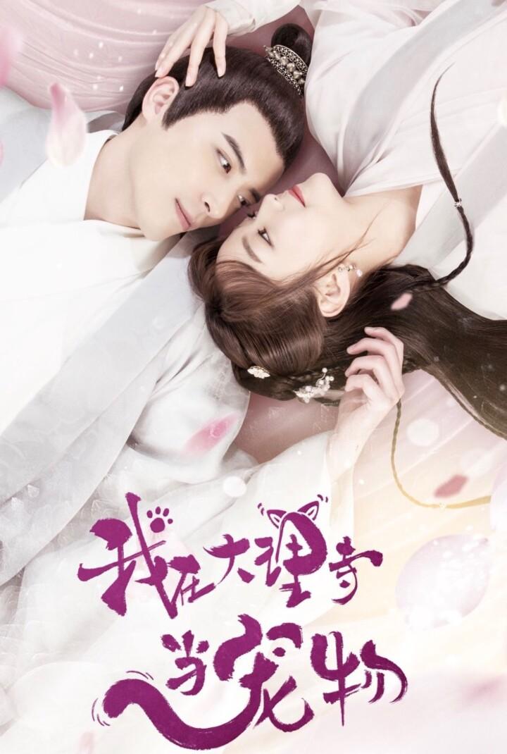 我在大理寺當寵物