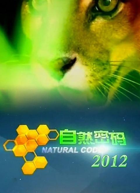 自然密碼